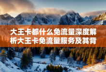 大王卡都什么免流量深度解析大王卡免流量服务及其背后的互联网生活革命-有卡有网