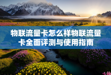 物联流量卡怎么样物联流量卡全面评测与使用指南-有卡有网