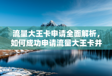 流量大王卡申请全面解析,如何成功申请流量大王卡并充分利用其优势-有卡有网