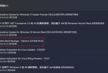 Windows 11 开发版出现循环自动安装错误-有卡有网