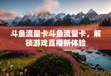 斗鱼流量卡斗鱼流量卡,解锁游戏直播新体验-有卡有网