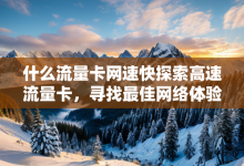 什么流量卡网速快探索高速流量卡,寻找最佳网络体验-有卡有网