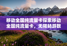移动全国纯流量卡探索移动全国纯流量卡,无限畅游数字世界的钥匙-有卡有网
