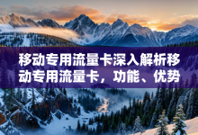 移动专用流量卡深入解析移动专用流量卡,功能、优势及使用场景全指南-有卡有网