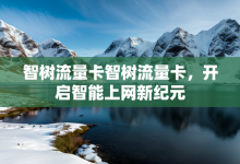 智树流量卡智树流量卡,开启智能上网新纪元-有卡有网