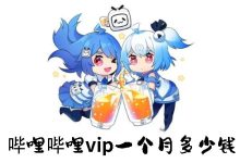 哔哩哔哩vip一个月多少钱-有卡有网