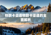 物联卡渠道物联卡渠道的全面解析-有卡有网