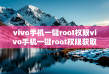 vivo手机一键root权限vivo手机一键root权限获取指南-有卡有网