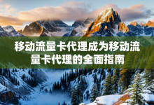 移动流量卡代理成为移动流量卡代理的全面指南-有卡有网