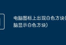 电脑图标显示白色方块-有卡有网