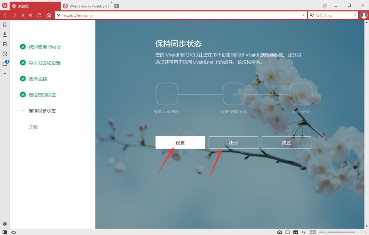 vivaldi浏览器怎么使用 vivaldi浏览器使用方法