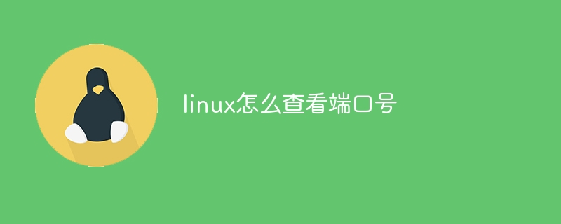 linux怎么查看端口号
