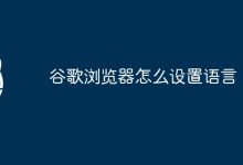 谷歌浏览器设置语言-有卡有网