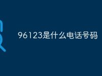 96123是什么电话号码-路由网
