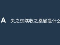失之东隅收之桑榆是什么意思-路由网