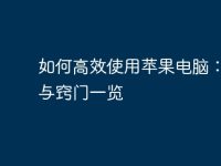 如何高效使用苹果电脑:技巧与窍门一览-路由网