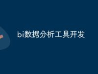 bi数据分析工具开发-路由网