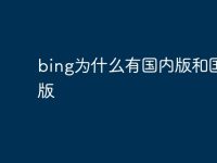 bing为什么有国内版和国际版-路由网