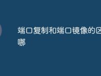 端口复制和端口镜像的区别在哪-路由网
