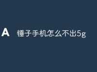 锤子手机怎么不出5g-路由网