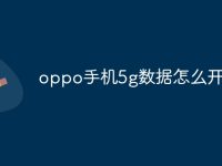 oppo手机5g数据怎么开-路由网