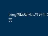 bing国际版可以打开什么网页-路由网