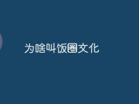 为啥叫饭圈文化-路由网