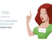 如何正确对待通用安全漏洞评分系统(CVSS)-路由网