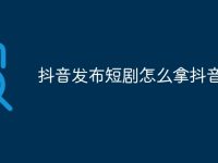 抖音发布短剧怎么拿抖音授权-路由网