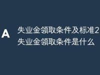 失业金领取条件及标准2024 失业金领取条件是什么-路由网