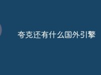 夸克还有什么国外引擎-路由网