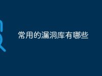 常用的漏洞库有哪些-路由网