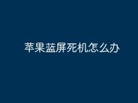 苹果蓝屏死机怎么办-路由网