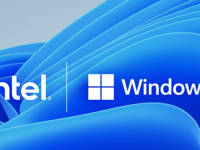 win11 word如何四分窗口 win11 word四分窗口教程-路由网