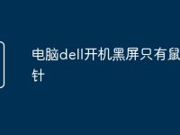 电脑dell开机黑屏只有鼠标指针-路由网