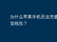 为什么苹果手机无法充值支付宝钱包?-路由网