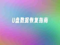 U盘数据恢复指南-路由网