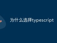 为什么选择typescript-路由网