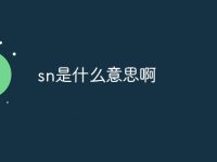 sn是什么意思啊-路由网