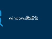 windows数据包-路由网