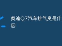奥迪Q7汽车排气臭是什么原因-路由网