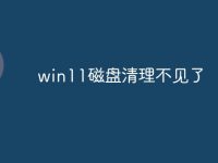 win11磁盘清理不见了-路由网