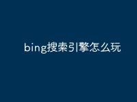 bing搜索引擎怎么玩-路由网