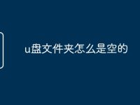 u盘文件夹怎么是空的-路由网