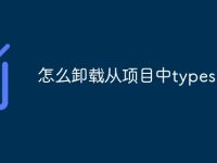 怎么卸载从项目中typescript-路由网