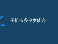 手机卡多少岁能办-路由网
