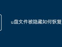 u盘文件被隐藏如何恢复-路由网