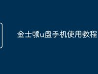 金士顿u盘手机使用教程-路由网