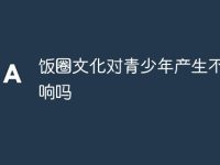 饭圈文化对青少年产生不良影响吗-路由网
