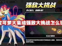 宝可梦大集结强敌大挑战怎么玩-路由网